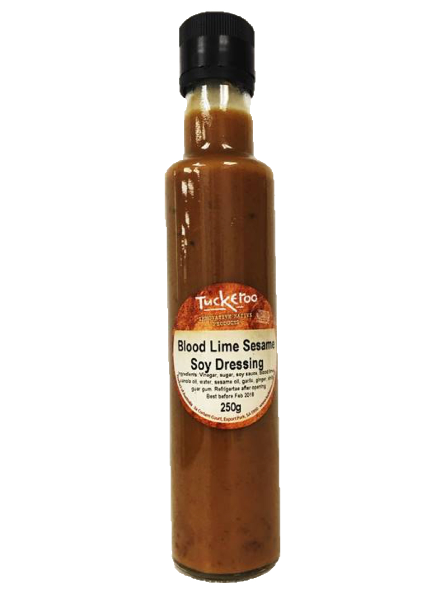 Bloodlimesesamesoydressing creative native foods