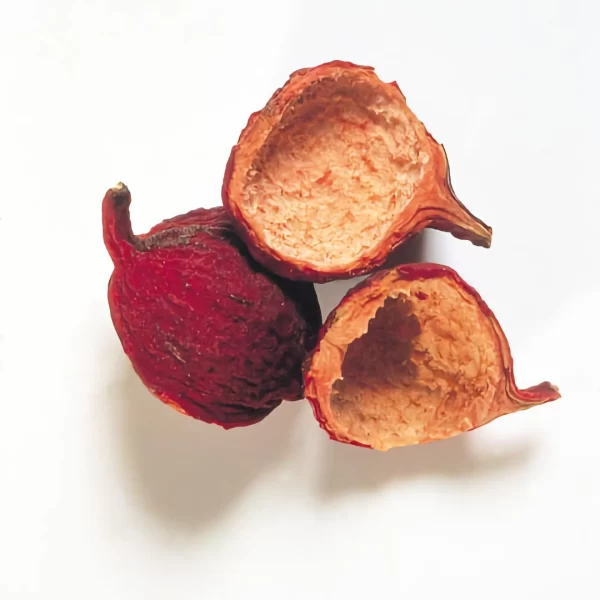 Quandong dried
