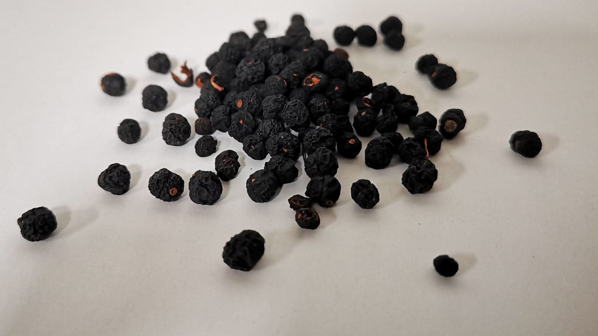 Pepperberry Whole Creative Native Foods