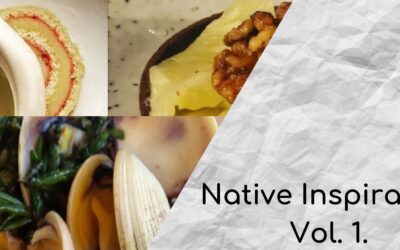 Native Inspiration Volume 1