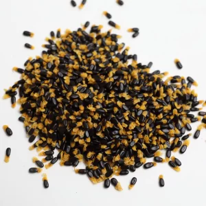 Raw Halls Creek Wattleseed