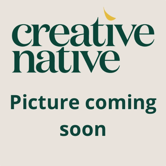 NATIVE INGREDIENTS