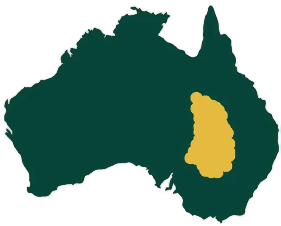 Map of Australia showing desert lime growing area.